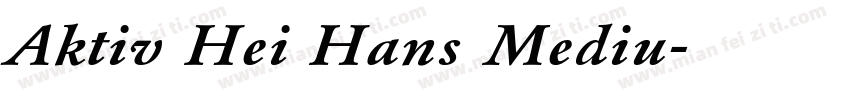 Aktiv Hei Hans Mediu字体转换
